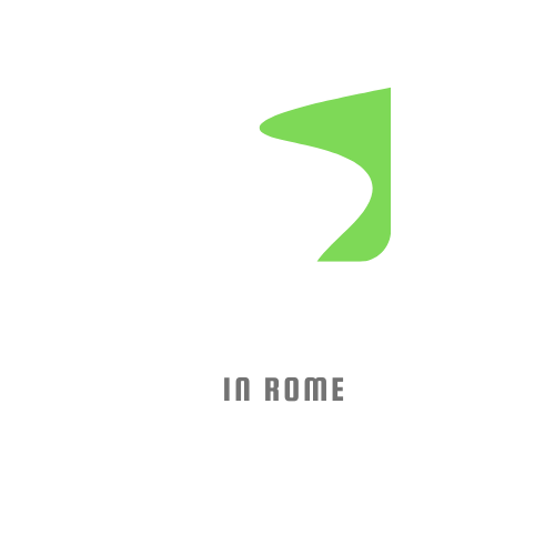 LIMOUSINE SERVICE